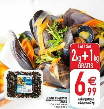Cora Moules de zélande zeeuwse mosselen cora aanbieding