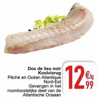 Cora Dos de lieu noir koolvisrug aanbieding