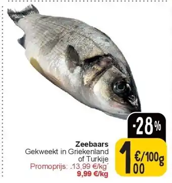 Cora Zeebaars aanbieding