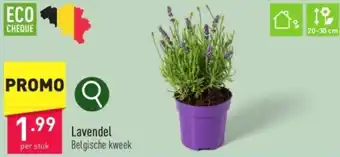 ALDI Lavendel aanbieding