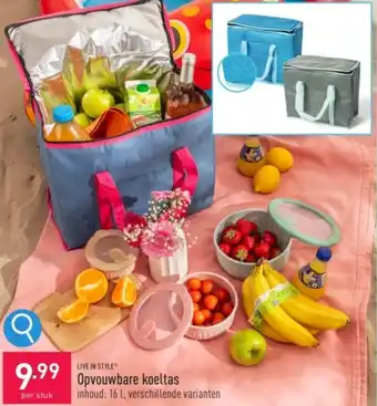 ALDI Opvouwbare koeltas aanbieding