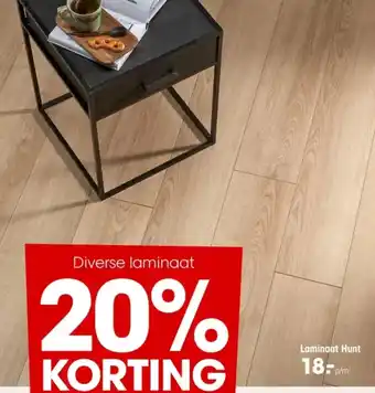 Kwantum Laminaat Hunt aanbieding
