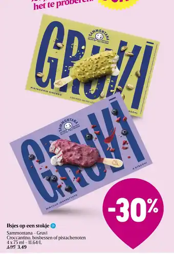 Sammontana - Gruvi Croccantino, bosbessen of pistachenoten IJsjes op een stokje