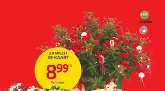 Brico UNIVERSELE POTGROND aanbieding