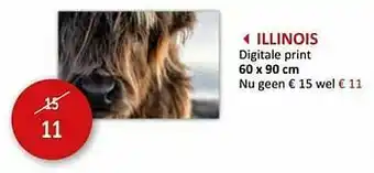 Weba Illinois digitale print aanbieding