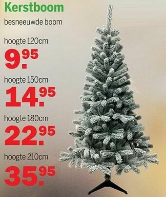 Kerstboom