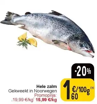 Cora Hele zalm aanbieding