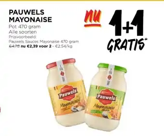 PAUWELS MAYONAISE