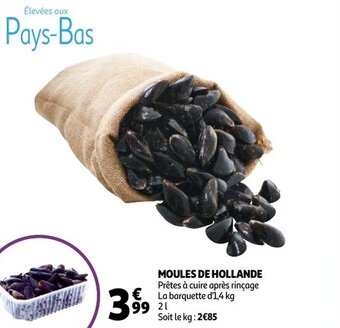 Auchan Moules De Hollande aanbieding