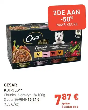 Tom&Co CESAR KUIPJES aanbieding