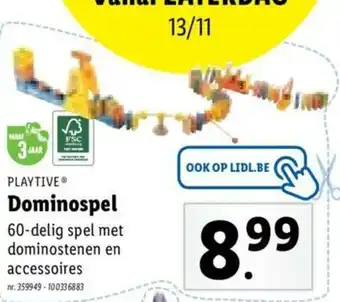 Dominospel 60-delig spel met dominostenen en accessoires