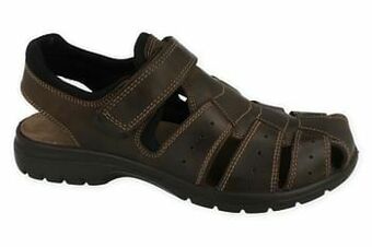 Hush Puppies Sandaal Heren Sandaal Italo Shock Absorber - Bruin