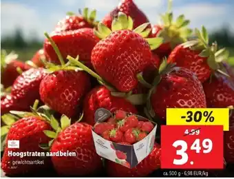 Lidl Hoogstraten aardbeien aanbieding