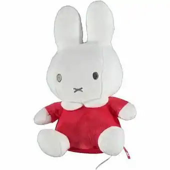 Nijntje pluche knuffel