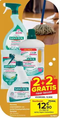 Carrefour Gamma wasmiddelen en onderhoudsproducten Sanytol aanbieding