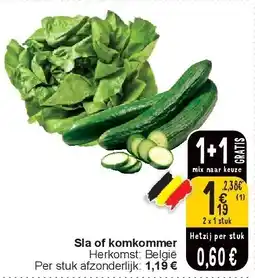 Cora Sla of komkommer aanbieding