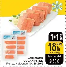 Cora Zalmmoten OCEAN PRIDE aanbieding