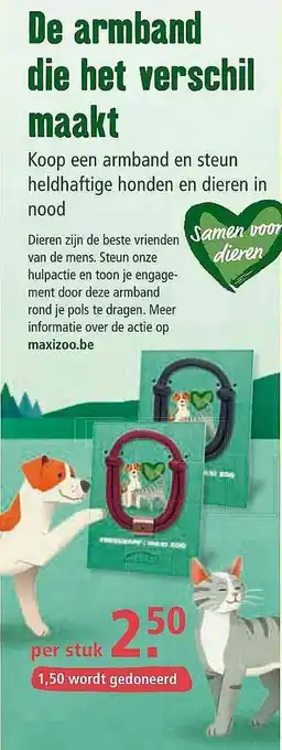 De Armband Die Het Verschill Maakt