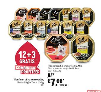 Delhaize Honden-of Kattenvoeding aanbieding