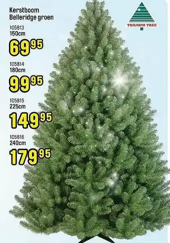 Happyland Kerstboom Belleridge Groen aanbieding