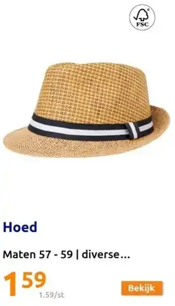 Action Hoed aanbieding