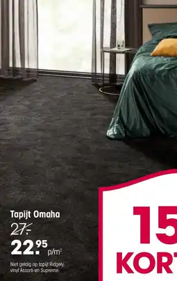 Kwantum Tapijt Omaha aanbieding