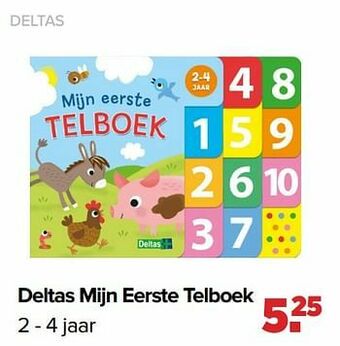 Deltas mijn eerste telboek