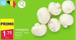 ALDI Champignons 500g aanbieding