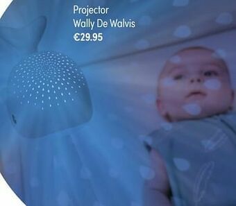 Projector wally de walvis