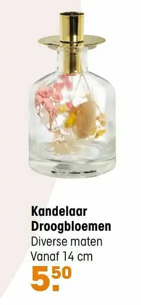 Kwantum Kandelaar droogbloemen aanbieding
