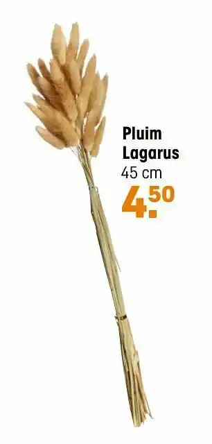 Kwantum Pluim lagarus aanbieding