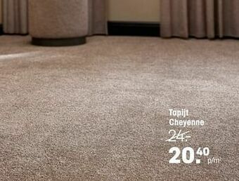 Kwantum Tapijt cheyenne aanbieding