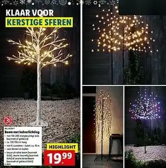 Lidl Boom met ledverlichting aanbieding