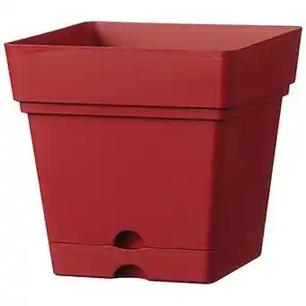 Brico Pot Deroma ’Samba’ rouge griotte 38 x 38 cm aanbieding