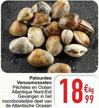 Cora Palourdes venusmosselen aanbieding