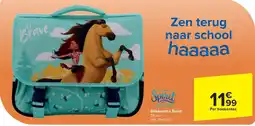Carrefour Boekentas Spirit Per boekentas aanbieding
