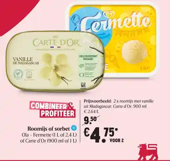 Delhaize Roomijs of sorbet aanbieding