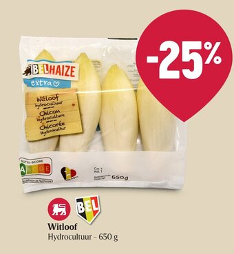 Delhaize Witloof aanbieding