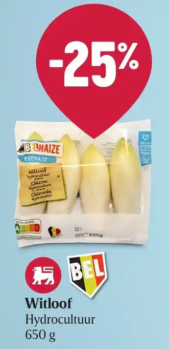 Delhaize Witloof 650 gram aanbieding