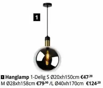 Hanglamp 1-delig