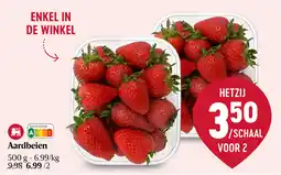 Delhaize Aardbeien 500g aanbieding