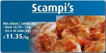 Aronde scampi`s aanbieding