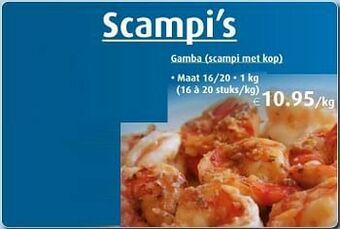 Aronde Gamba scampi met kop aanbieding