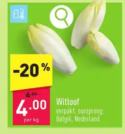 ALDI Witloof aanbieding