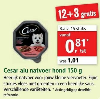 Cesar alu natvoer hond
