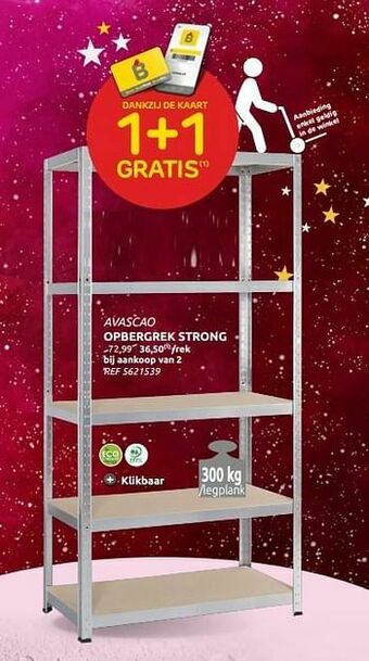 Brico Opbergrek strong aanbieding