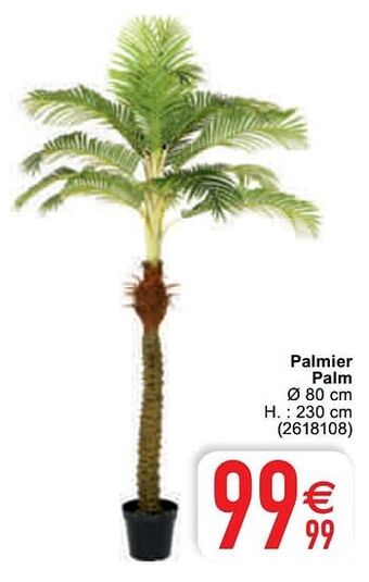 Palmier palm