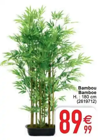 Cora Bambou bamboe aanbieding