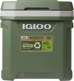 Coolblue Igloo ECOCOOL 60 Roller aanbieding