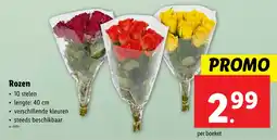 Lidl Rozen aanbieding
